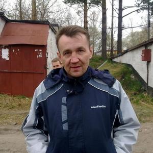 Сергeй, 53 года, Томск