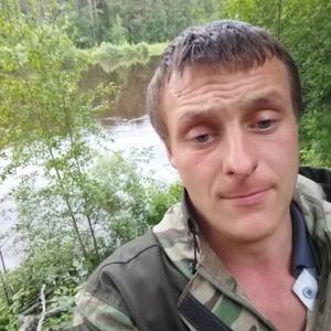 Парни в Вологде: Поддубный, 35 - ищет девушку из Вологды