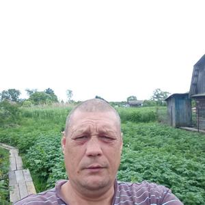 Александр Васильев, 48 лет, Рощино