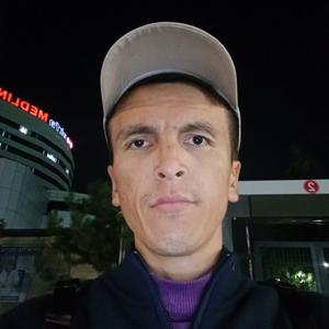 Парни в Ташкенте (Узбекистан): Ozodbek, 28 - ищет девушку из Ташкента (Узбекистан)