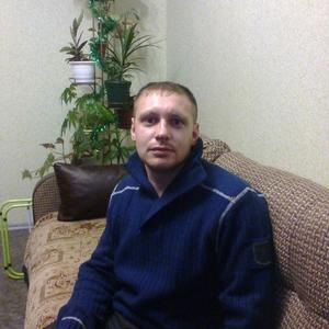 Алексей, 37 лет, Вельск