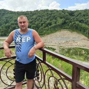 Дмитрий, 41 год, Бийск