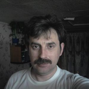 Андрей Веселов, 39 лет, Тула