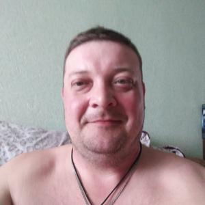 Андрей, 41 год, Ковдор