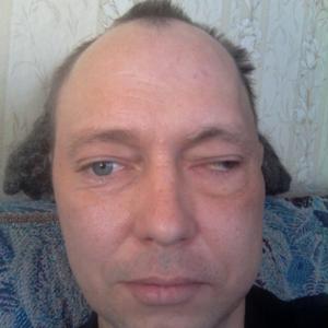 Максим Соколов, 46 лет, Алешники