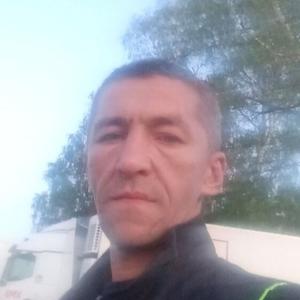 Евгений, 42 года, Ходаево