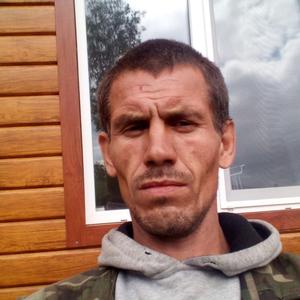 Роман, 39 лет, Красноярск