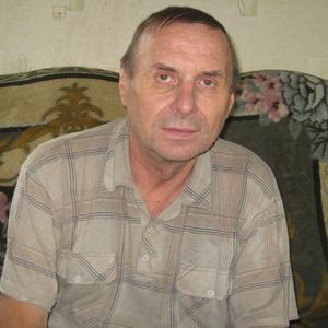 Борис, 71 год, Сарапул