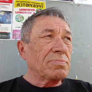 Олег, 68 лет, Ногинск