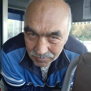 Саша, 61 год, Кстово