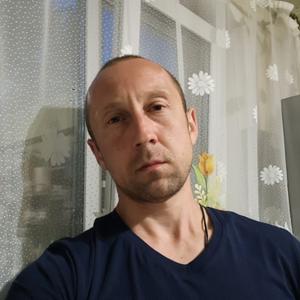Алексей, 40 лет, Суворов