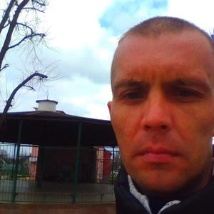 Евгений Сергеевич, 39 лет, Луховицы