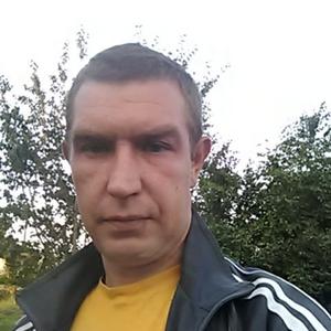 Андрей, 40 лет, Калининград