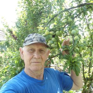 Павел Козлов, 78 лет, Приморско-Ахтарск
