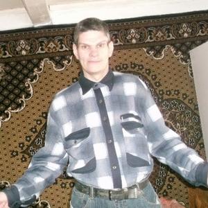 Евгений Бородин, 46 лет, Кыштовка