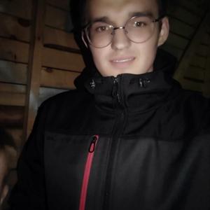 Александр, 22 года, Сергиев Посад