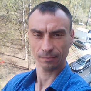 Николай, 48 лет, Подольск