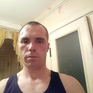 Андрей, 45 лет, Березино