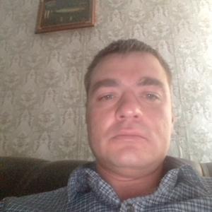 Александр, 43 года, Вологда