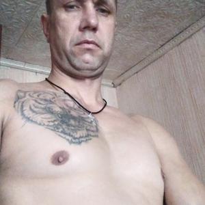Миша, 43 года, Нижний Новгород