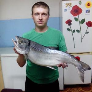 Андрей, 37 лет, Сургут