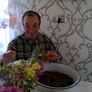 Иван, 71 год, Казань