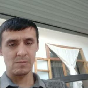 Азамат, 36 лет, Ташкент