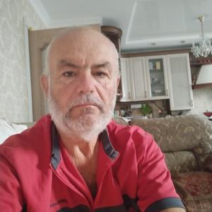 Владимир, 66 лет, Краснодар
