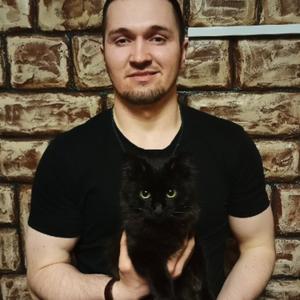 Амир, 33 года, Казань