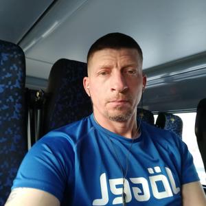 Олег, 44 года, Калач-на-Дону