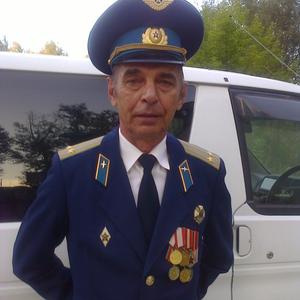 Валерий Бушков, 74 года, Иркутск
