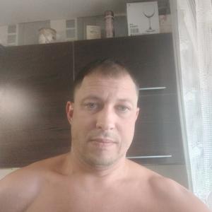 Кирилл, 31 год, Витебск