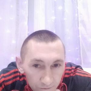 Николай, 43 года, Ковров