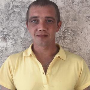 Петр, 36 лет, Ногинск
