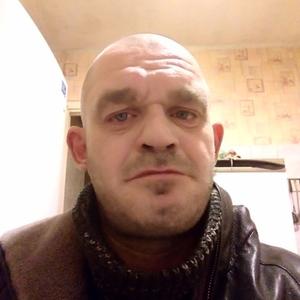 Roman, 42 года, Нижний Тагил