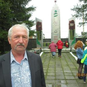 Владимр Семиков, 68 лет, Нижний Новгород