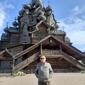 Владимир, 63 года, Санкт-Петербург
