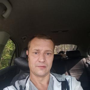 Сергей, 44 года, Верхняя Пышма