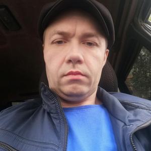 Алексей, 41 год, Асино
