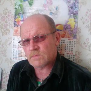 Владимир, 66 лет, Сосновка