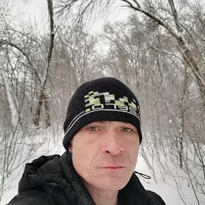 Андрей, 42 года, Курск