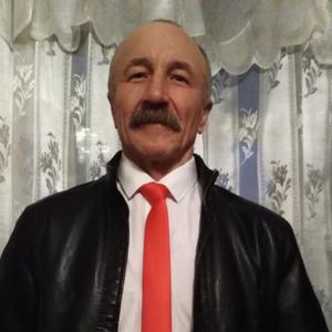 Парни в Альметьевске: Рамиль Акулов, 64 - ищет девушку из Альметьевска