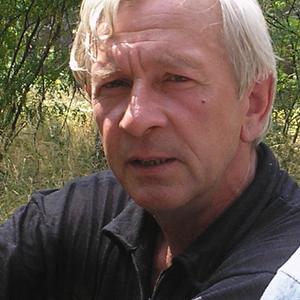 Анатолий, 72 года, Воронеж