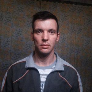 Сергей Сокол, 39 лет, Гусь-Хрустальный