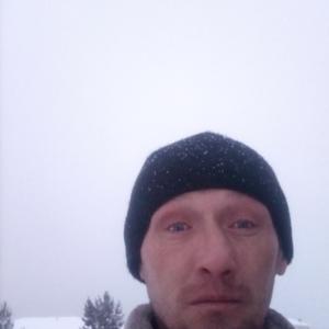 Миша, 42 года, Ижевск