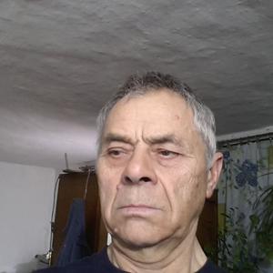 Владимир Гаврилов, 78 лет, Великовечное