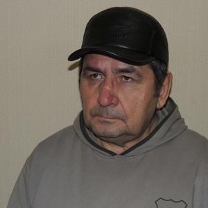 Александр, 71 год, Архангельск