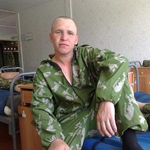 Александр Плехов, 37 лет, Вологда