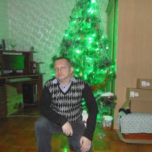 Александр Логинов, 49 лет, Ялуторовск