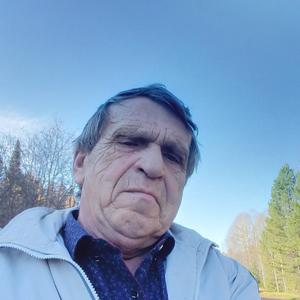 Николай, 71 год, Красноярск